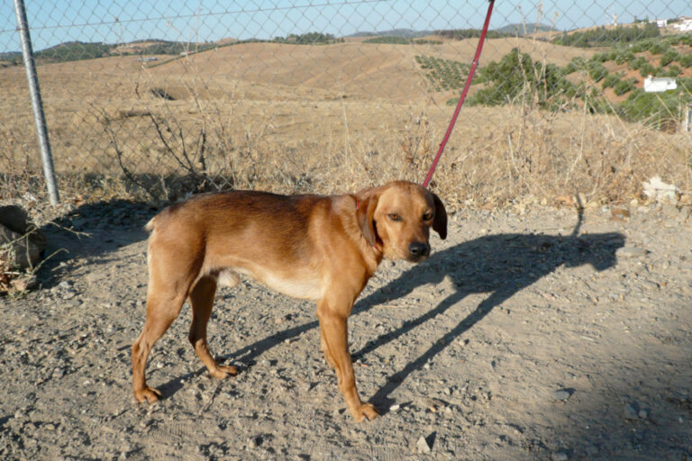 multimedia-foto55726-269-1