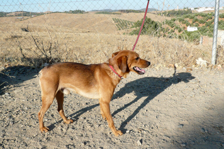 multimedia-foto55728-310-1