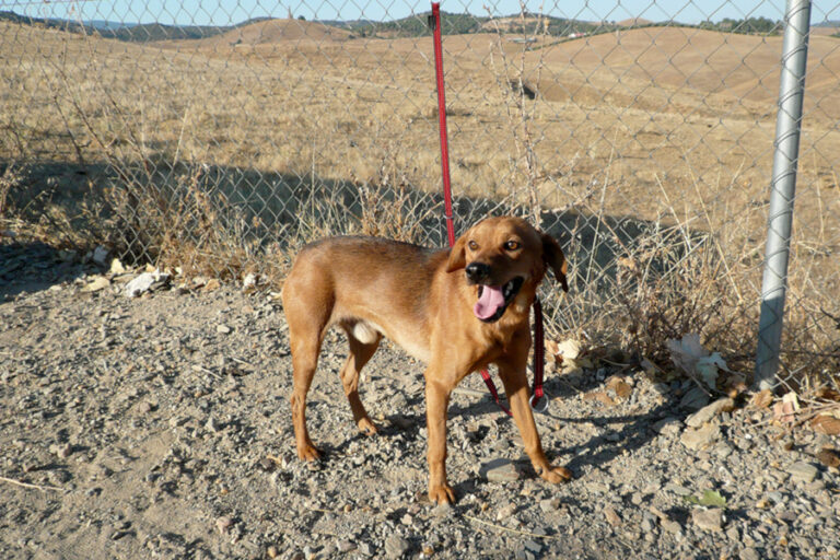 multimedia-foto55729-310-1