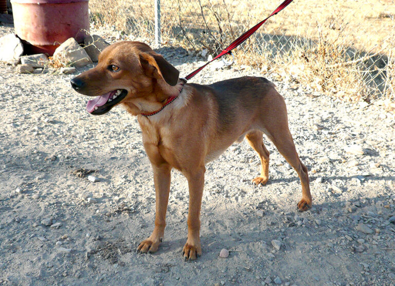 multimedia-foto55730-310-1