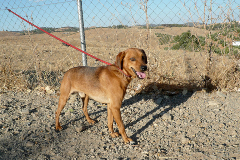 multimedia-foto55731-311-1