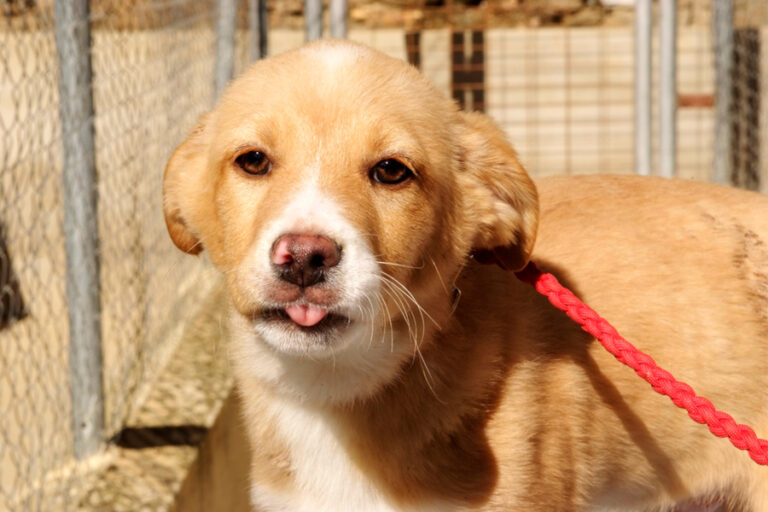 multimedia-foto55786-709-1