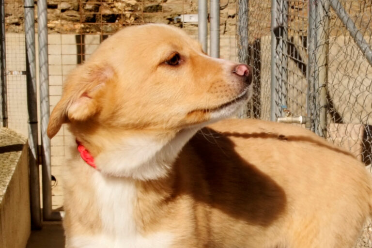 multimedia-foto55787-709-1