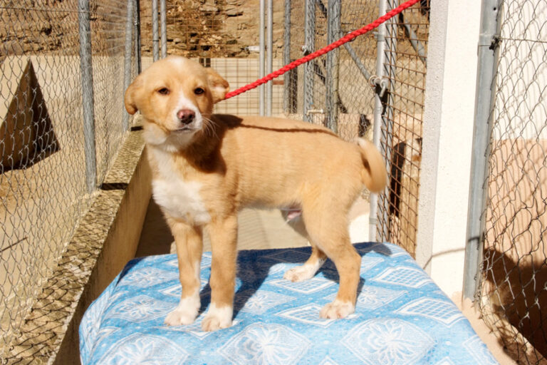 multimedia-foto55788-709-1