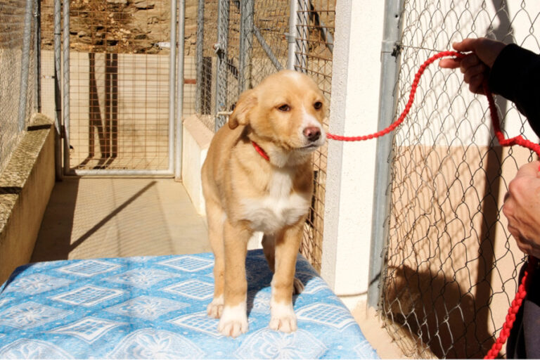 multimedia-foto55789-710-1