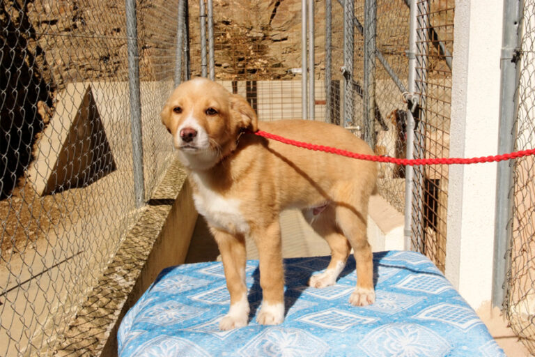 multimedia-foto55790-710-1