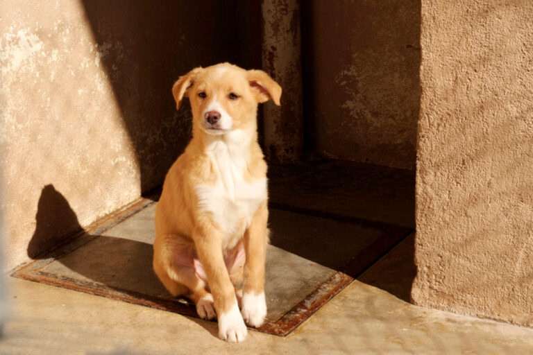 multimedia-foto55791-710-1