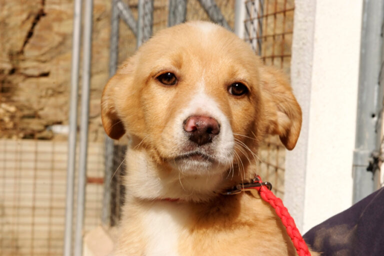 multimedia-foto55792-710-1