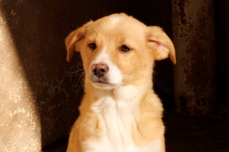 multimedia-foto55793-711-1