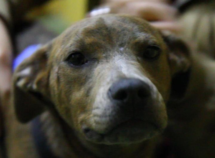 multimedia-foto55814-607-1