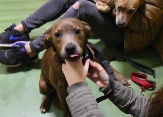 multimedia-foto55815-607-1