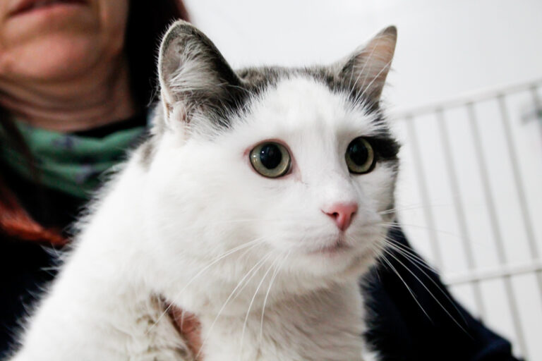 multimedia-foto55826-913-1