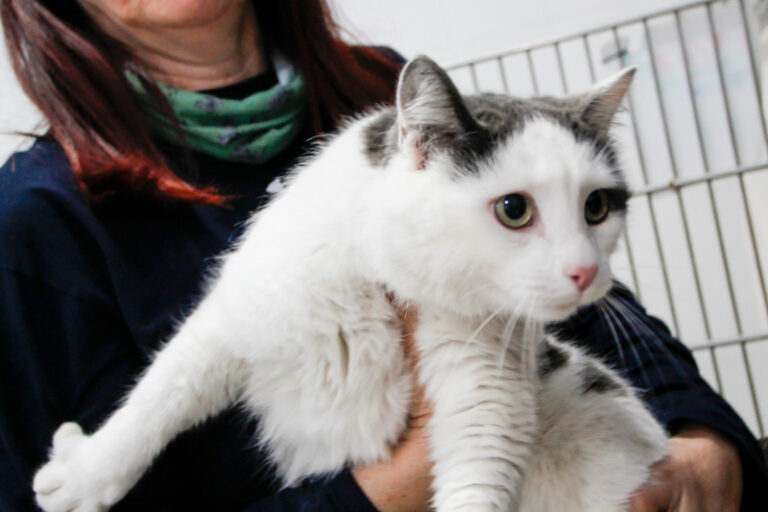 multimedia-foto55828-914-1