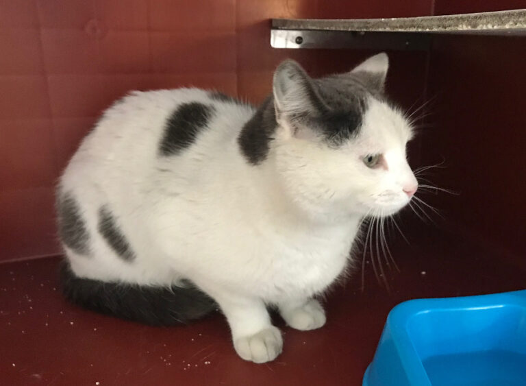 multimedia-foto55833-915-1