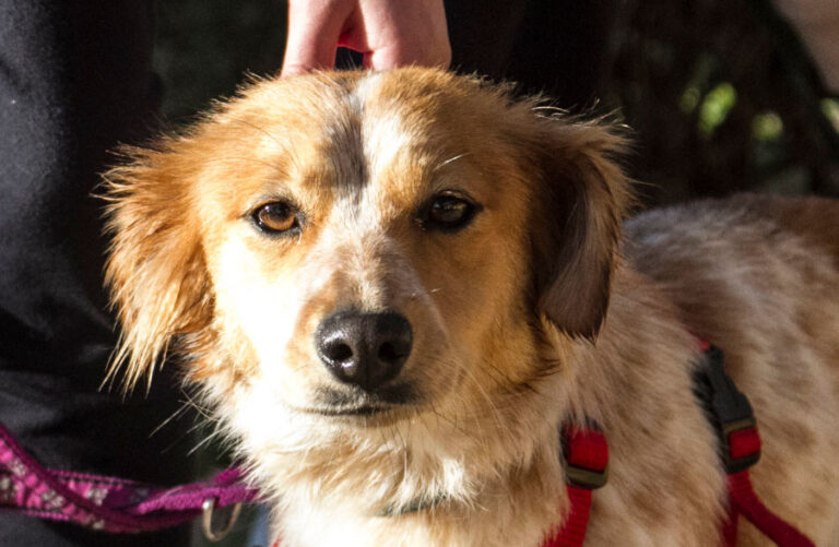 multimedia-foto55852-231-1