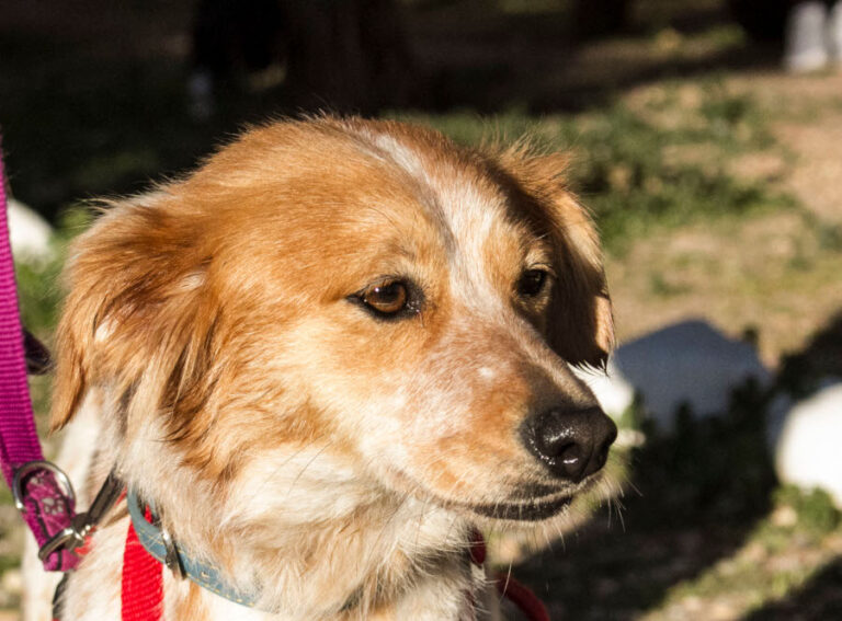 multimedia-foto55853-231-1