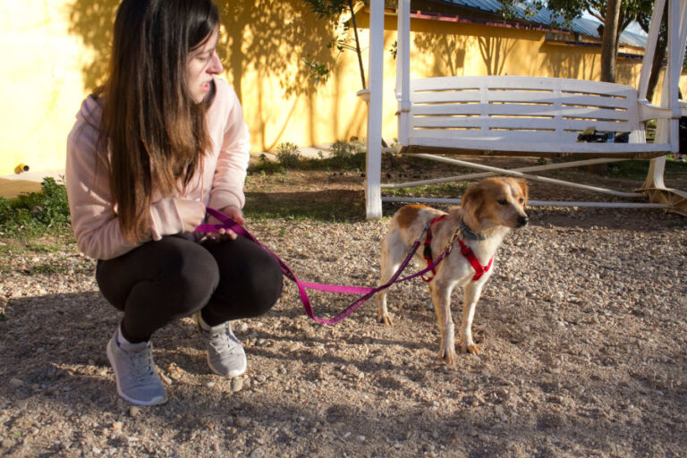 multimedia-foto55854-231-1