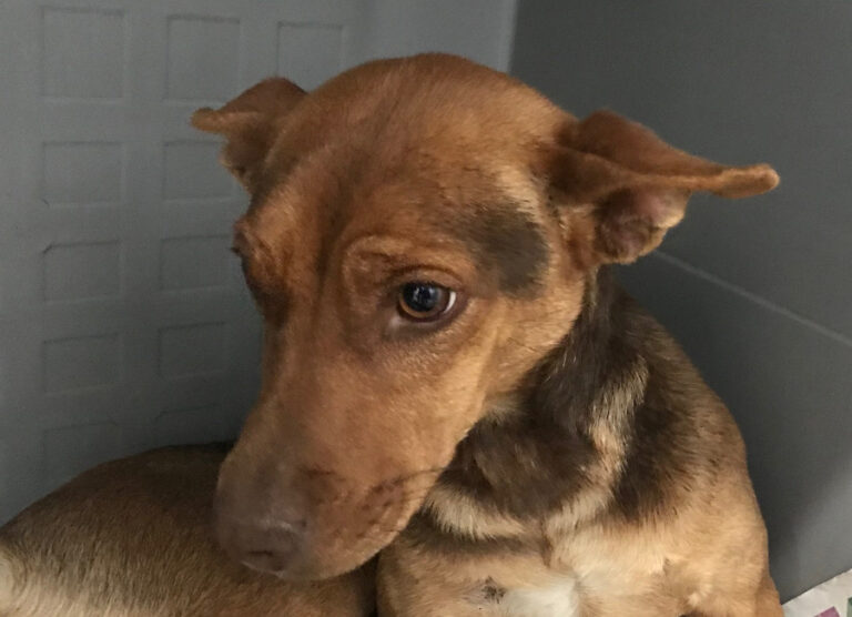 multimedia-foto55921-280-1