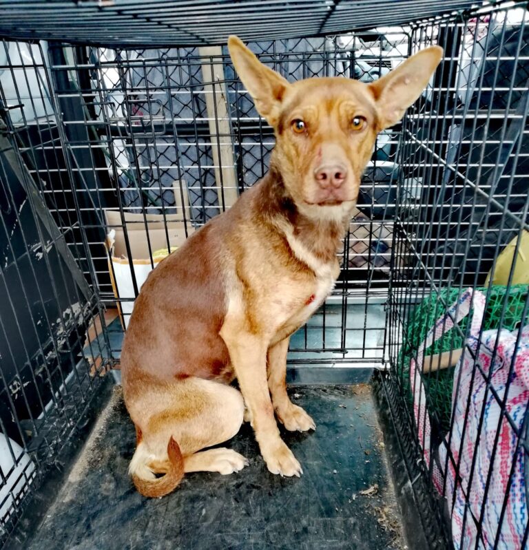 multimedia-foto55923-280-1