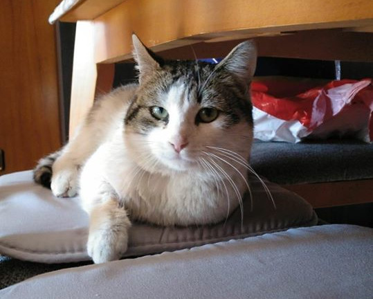 multimedia-foto55972-134-1