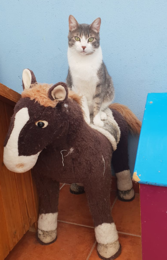 multimedia-foto55973-306-1