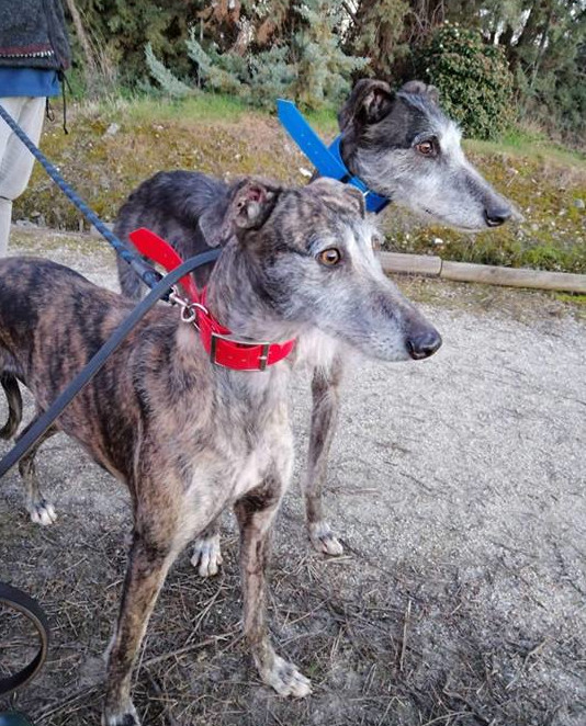 multimedia-foto55991-530-1