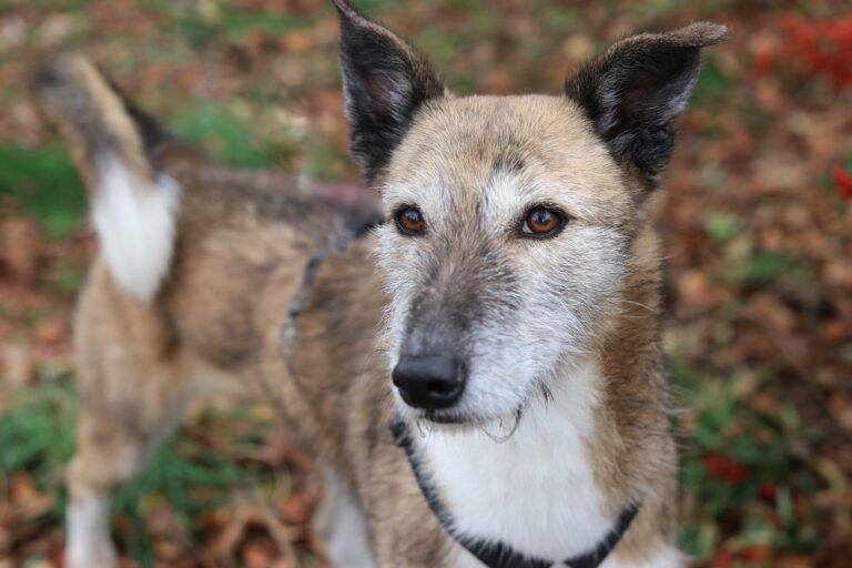 multimedia-foto56004-303-1