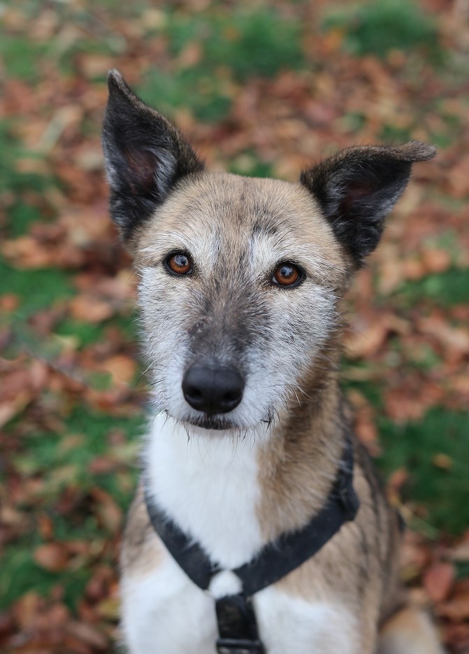 multimedia-foto56005-303-1