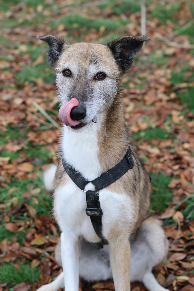 multimedia-foto56006-303-1