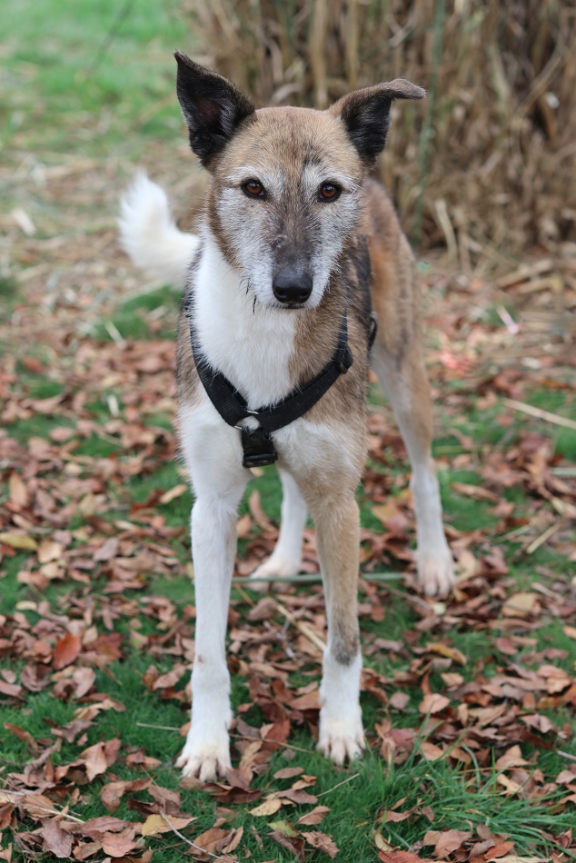 multimedia-foto56008-304-1