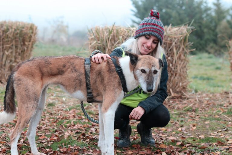 multimedia-foto56010-304-1