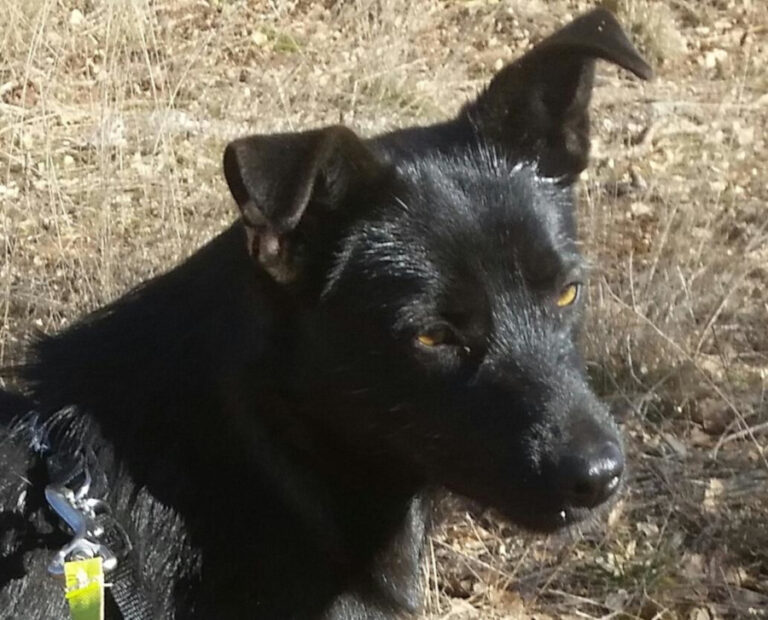 multimedia-foto56021-351-1