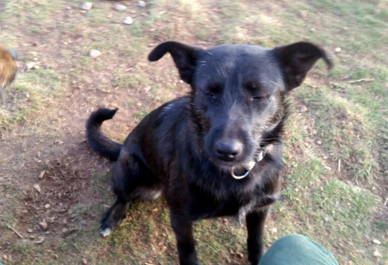 multimedia-foto56022-352-1