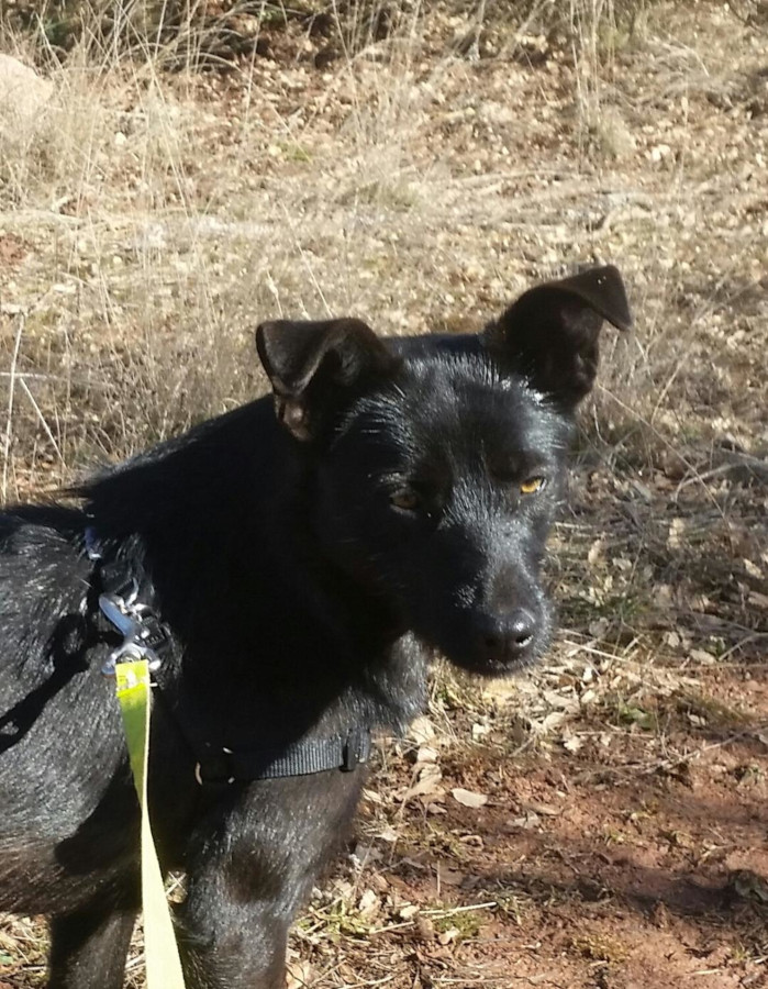 multimedia-foto56023-352-1