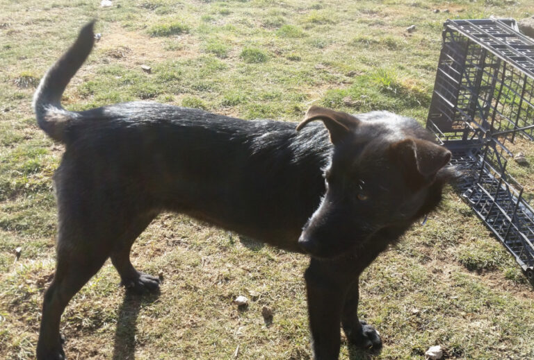 multimedia-foto56024-352-1