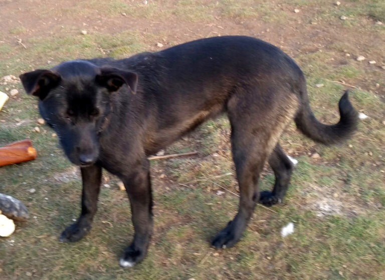 multimedia-foto56025-352-1