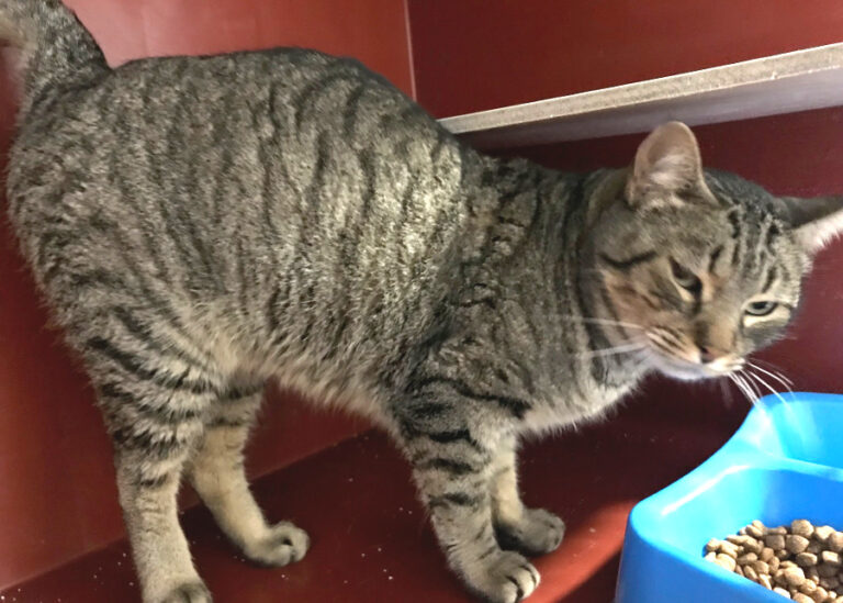 multimedia-foto56036-148-1