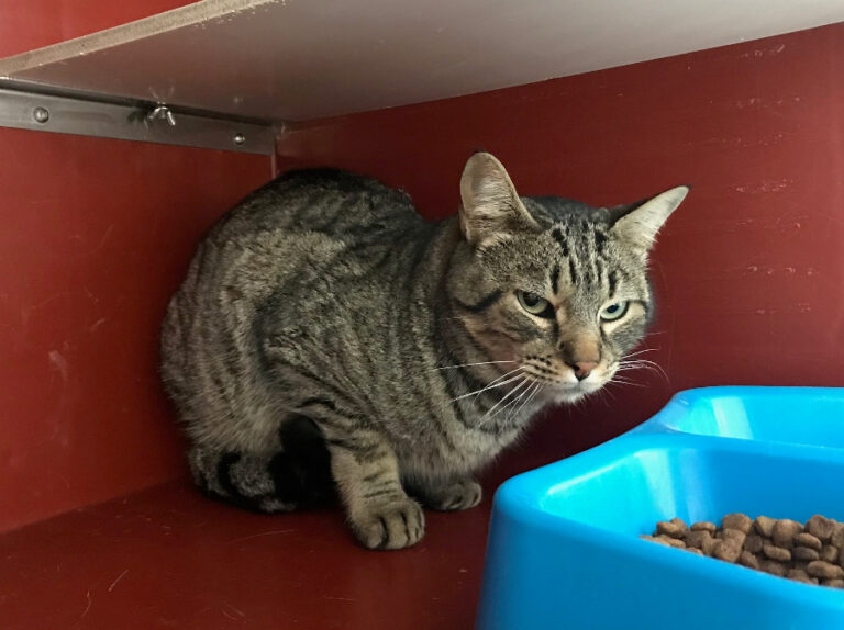 multimedia-foto56038-149-1