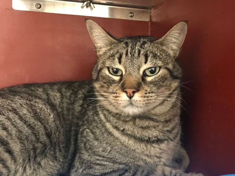 multimedia-foto56039-149-1