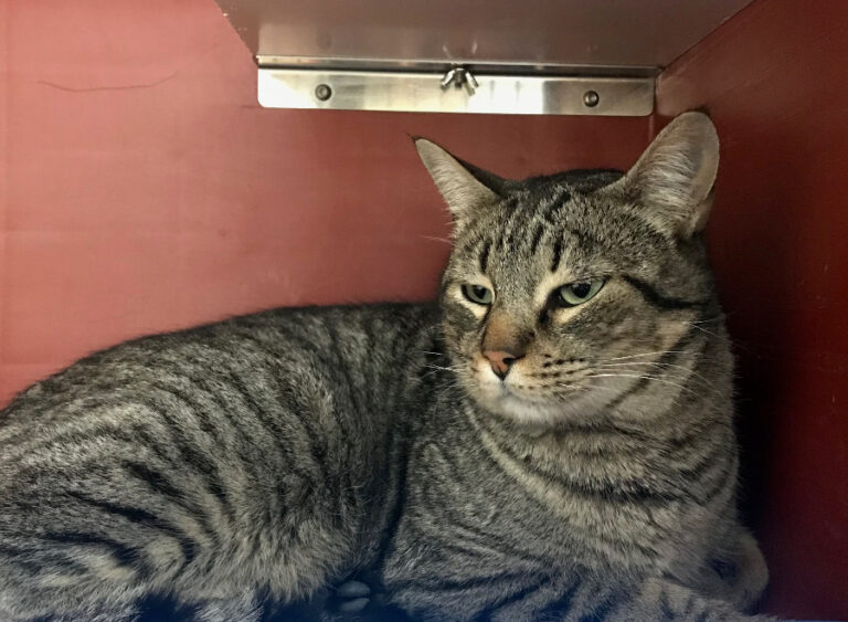 multimedia-foto56040-149-1