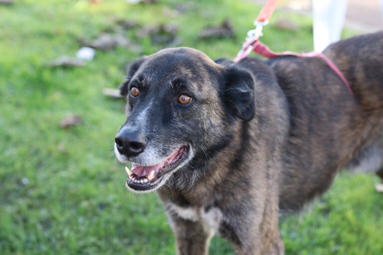 multimedia-foto56060-525-1