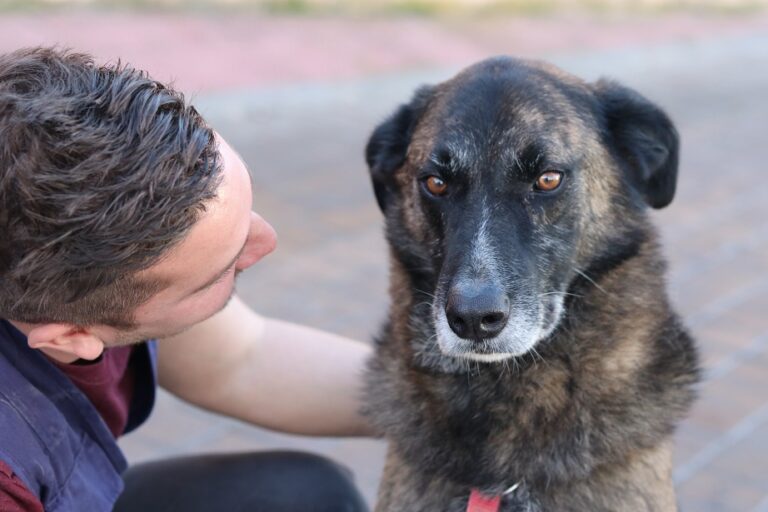 multimedia-foto56061-525-1