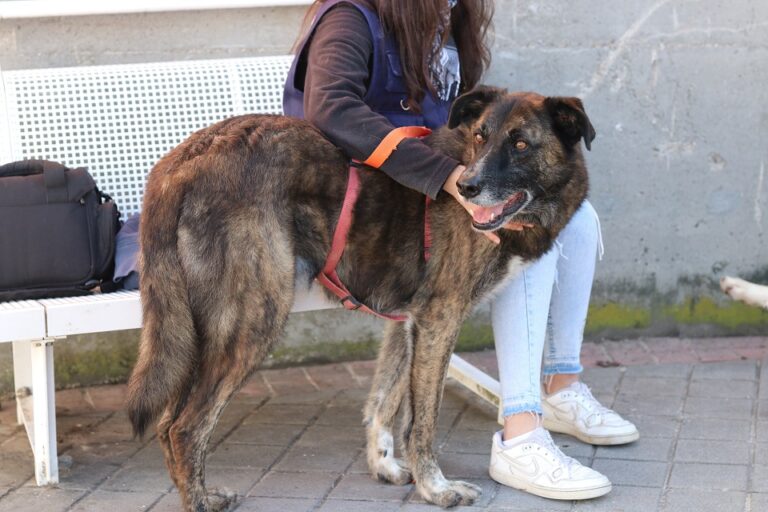 multimedia-foto56062-525-1