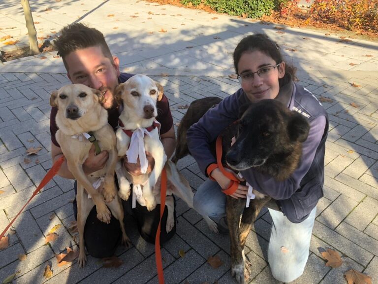 multimedia-foto56063-526-1