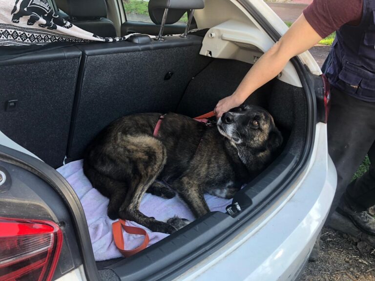 multimedia-foto56064-526-1