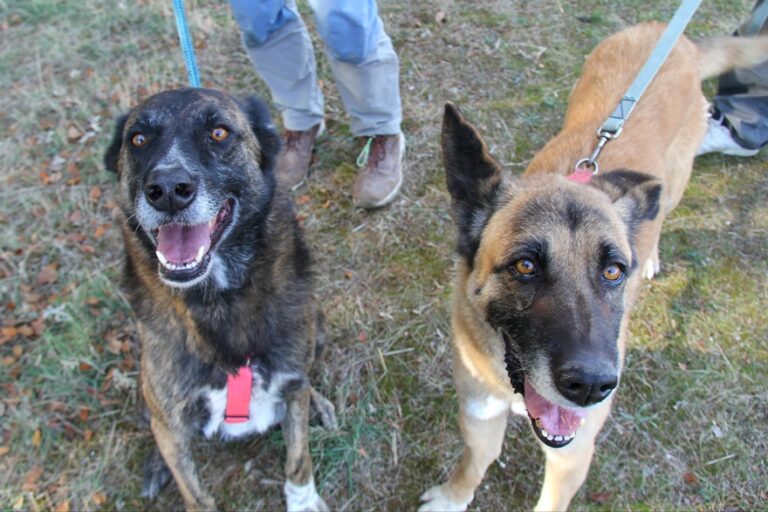 multimedia-foto56066-526-1