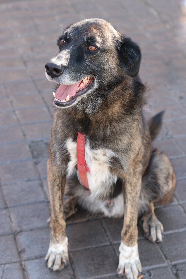 multimedia-foto56067-526-1