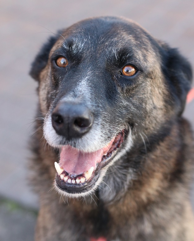 multimedia-foto56068-527-1