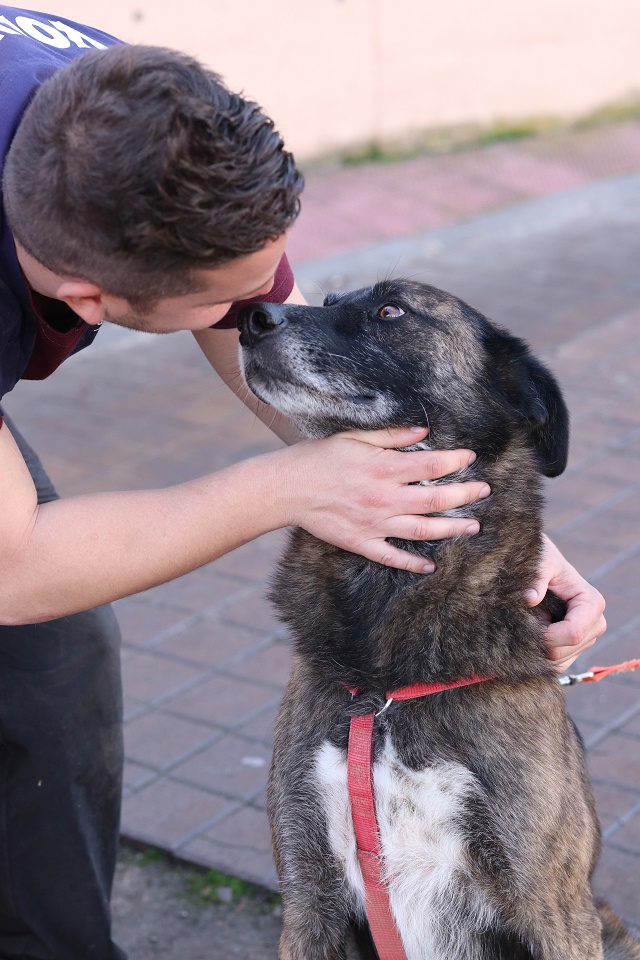 multimedia-foto56069-527-1