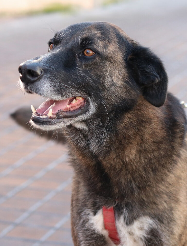 multimedia-foto56070-527-1